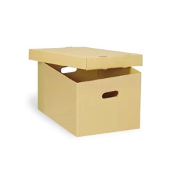 Full-size Archival File Boxes